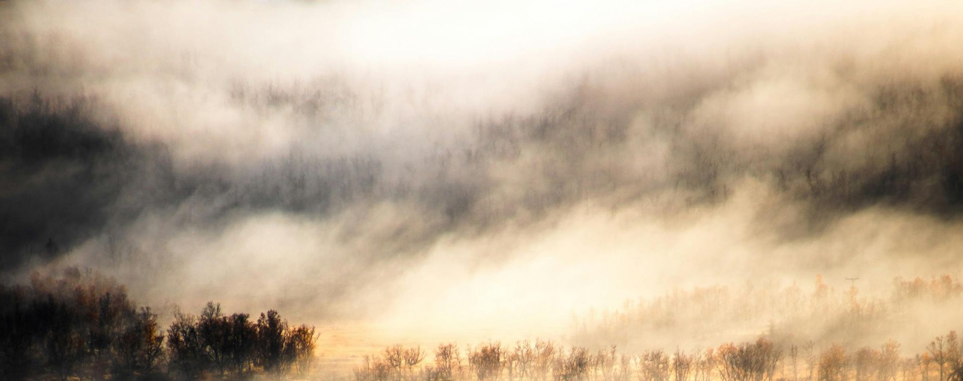 A tranquil morning scene featuring fog over a reflective lake and distant homes.
